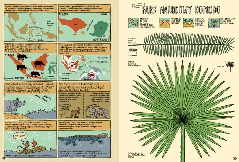 Którędy do Yellowstone?