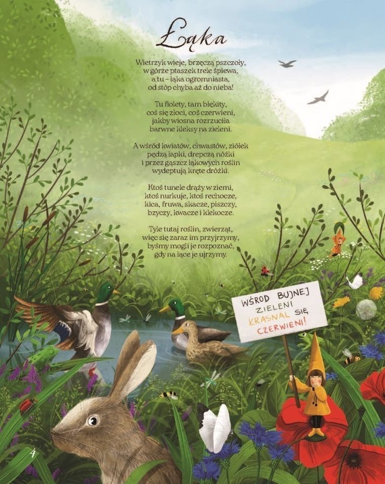 Łąka. Fakty, wierszyki i inne wybryki