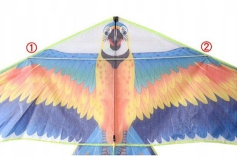 Lean Toys, latawiec, ptak, kolorowy