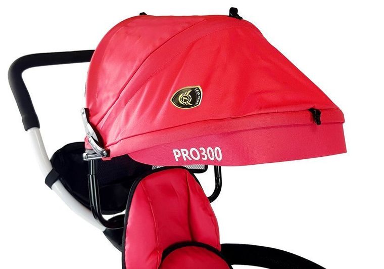 Lean Toys, rower trójkołowy, PRO300, czerwony