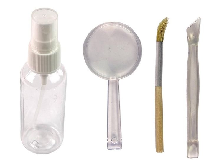 Lean Toys, wykopaliska, rekin