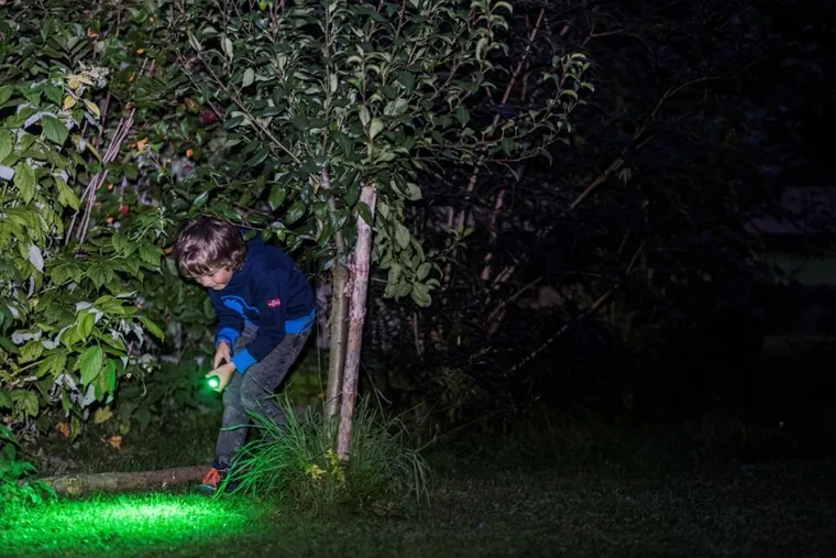 Ledlenser, latarka dziecięca, Kidled4R, Dinozaury