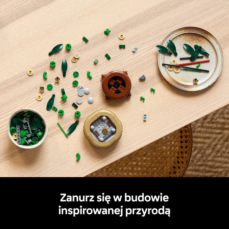 LEGO Botanicals, Dracena sandera, 10344