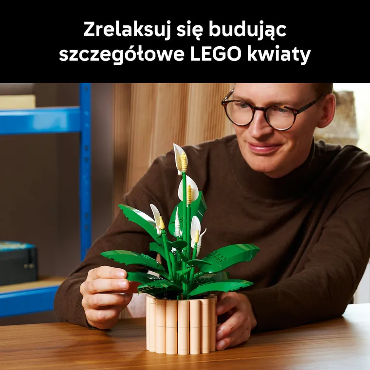 LEGO Botanicals, Skrzydłokwiat, 11504