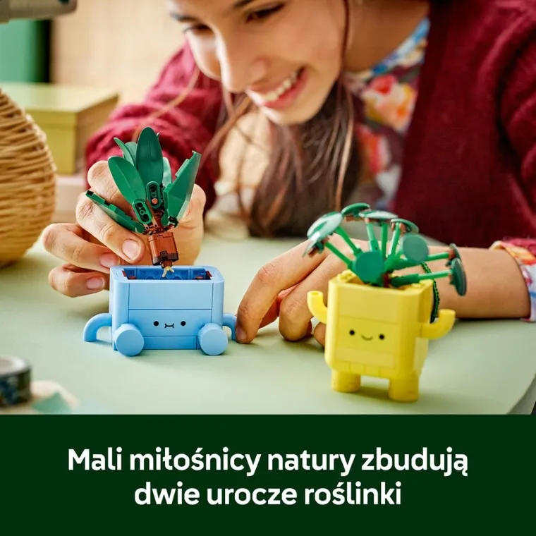 LEGO Botanicals, Wesołe roślinki, 10349