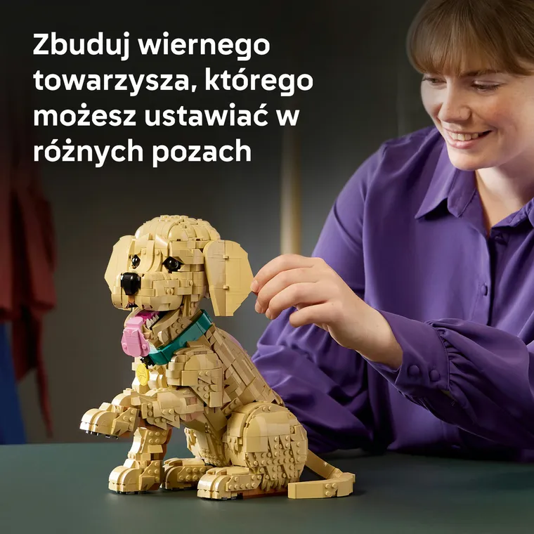 LEGO Icons, Szczeniak golden retriever, 11384