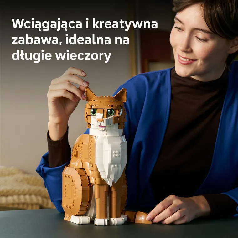 LEGO Ideas, Rudy kot, 21376