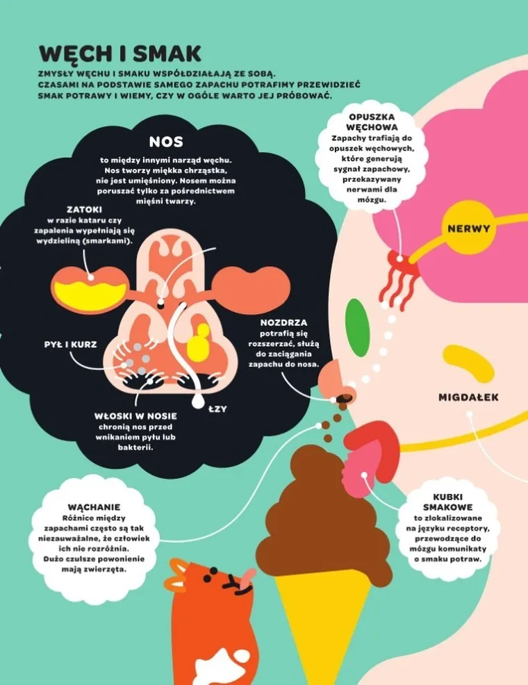 Leon i Lena poznają ciało człowieka