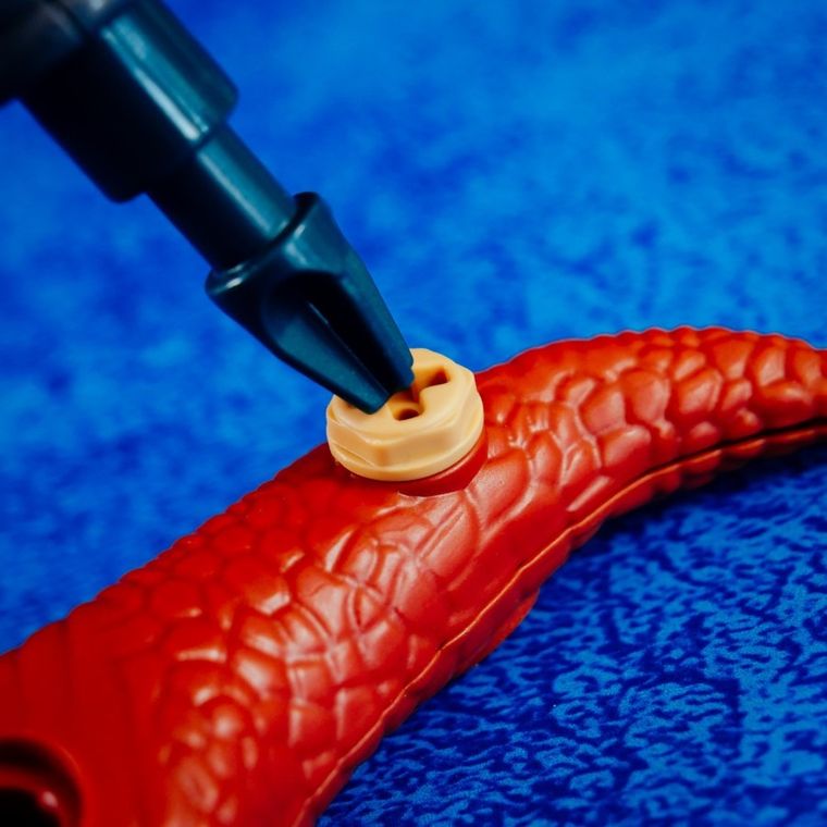 Lisciani, I'm a Genius, Dino Stem, T-Rex, zestaw edukacyjny