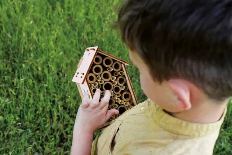 Lisciani, I'm a genius, Laboratorium pszczół, zestaw edukacyjny