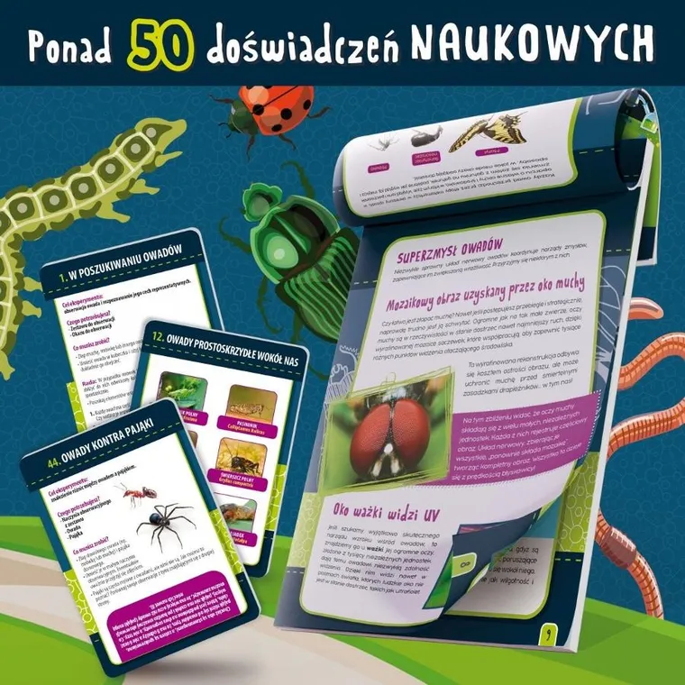 Lisciani, I'm a Genius, Nauka w domu - Owady