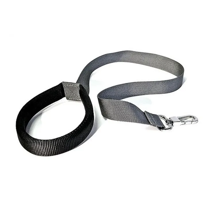 LittleLife, Animal Pack, Nemo, plecak dla przedszkolaka