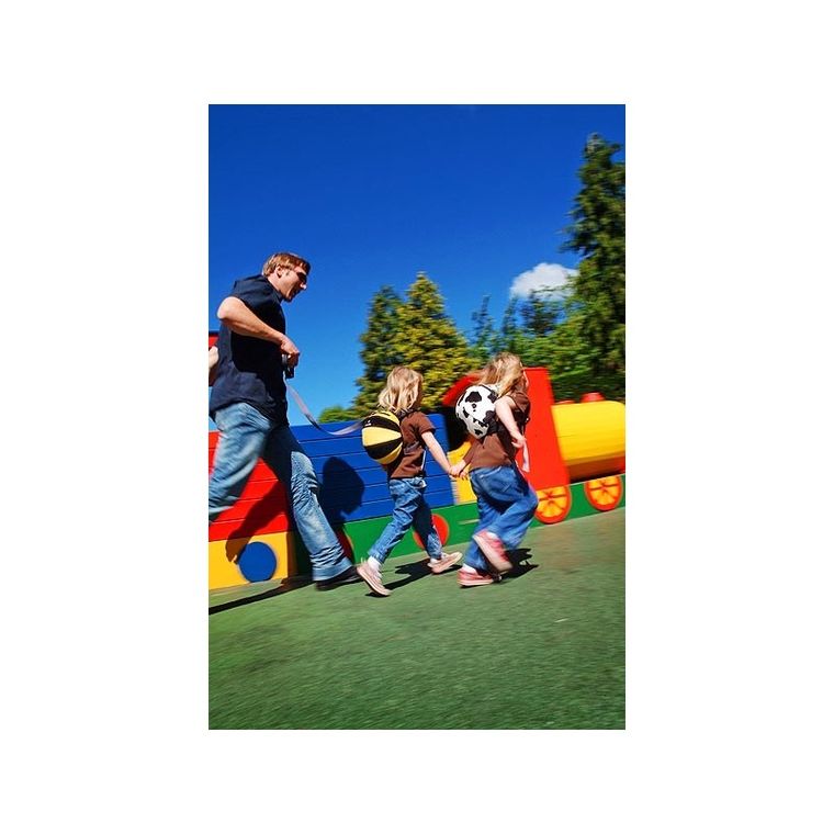 LittleLife, Animal Pack, Pszczółka, plecak dla przedszkolaka