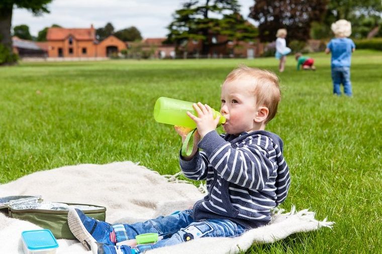 LittleLife, Bidon, Safari, żółty