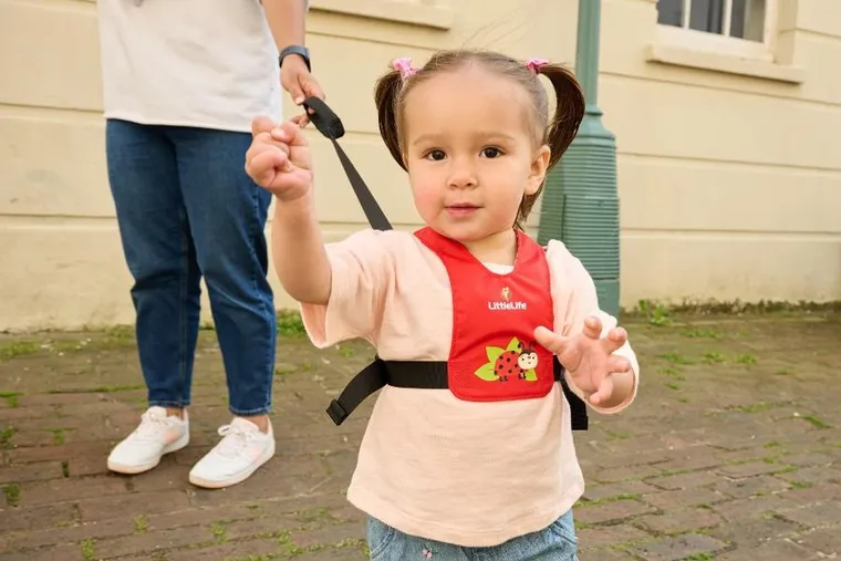 LittleLife, szelki bezpieczeństwa, Biedronka