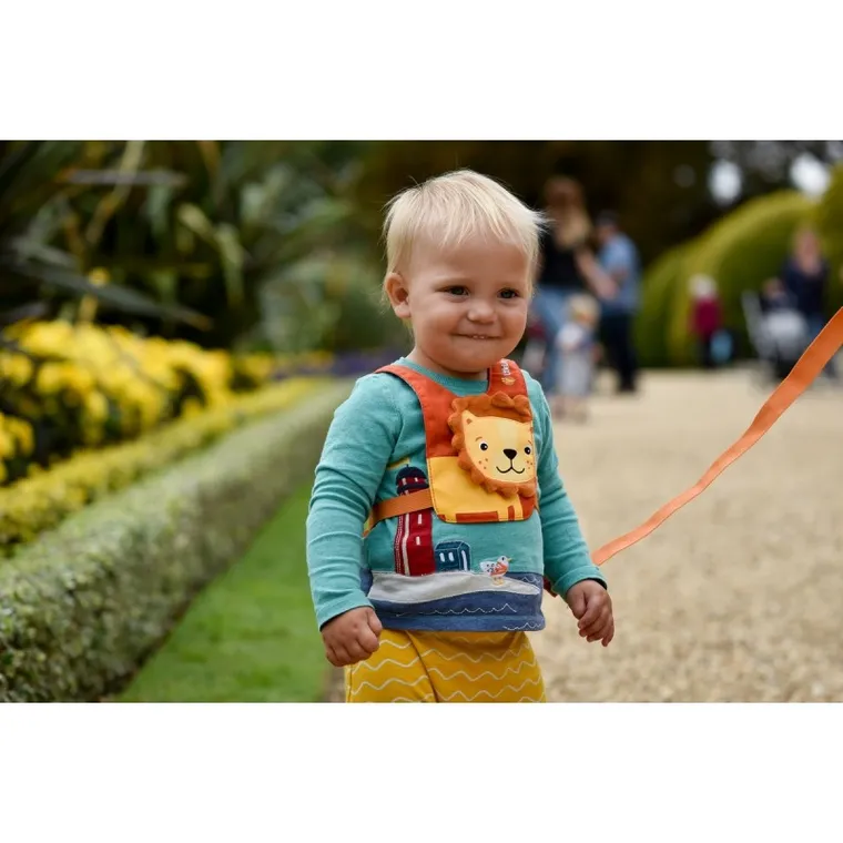 LittleLife, szelki bezpieczeństwa, lew