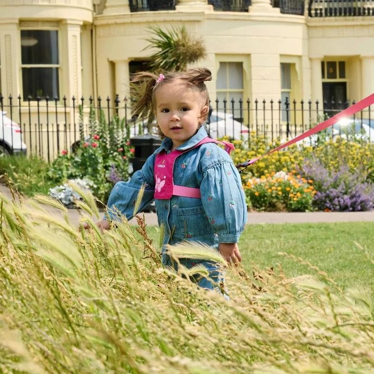 LittleLife, szelki bezpieczeństwa, Motyl