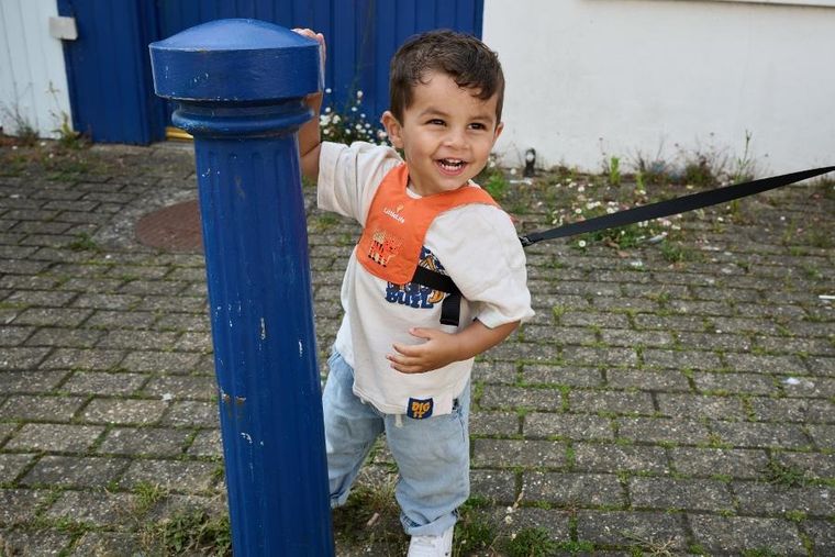 LittleLife, szelki bezpieczeństwa, Tygrys