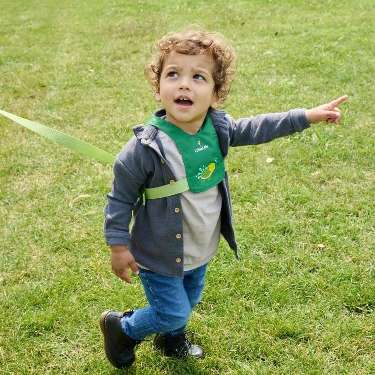 LittleLife, szelki bezpieczeństwa, Żółw