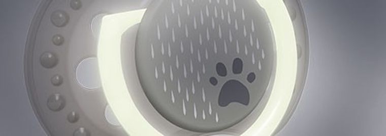 Lovi, Buddy Bear, smoczek dynamiczny, uspokajający, silikonowy, 0-3m, 2 szt.