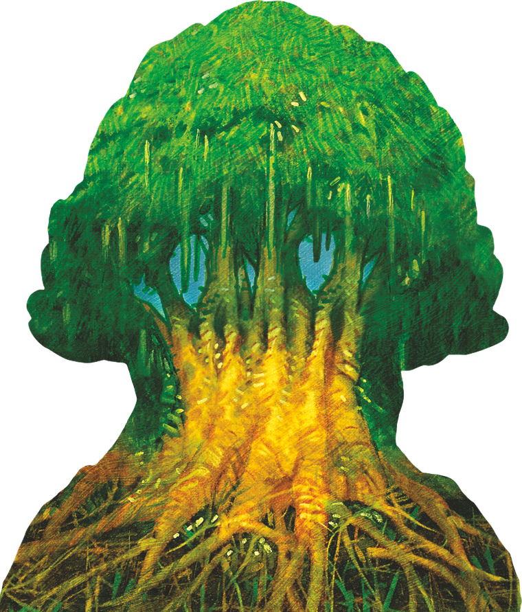 Lucky Duck Games, Hutan, gra familijna