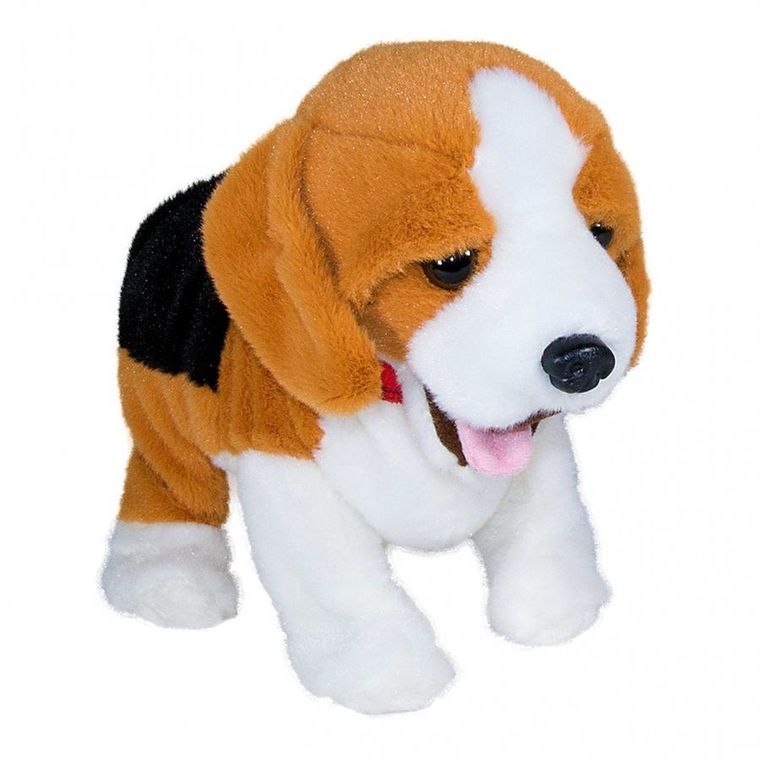 Madej, Beagle Figo, pies reagujący na komendy, maskotka interaktywna