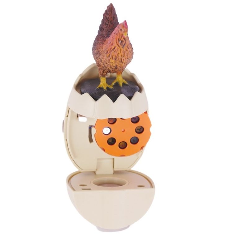 Maksik, projektor edukacyjny, farma