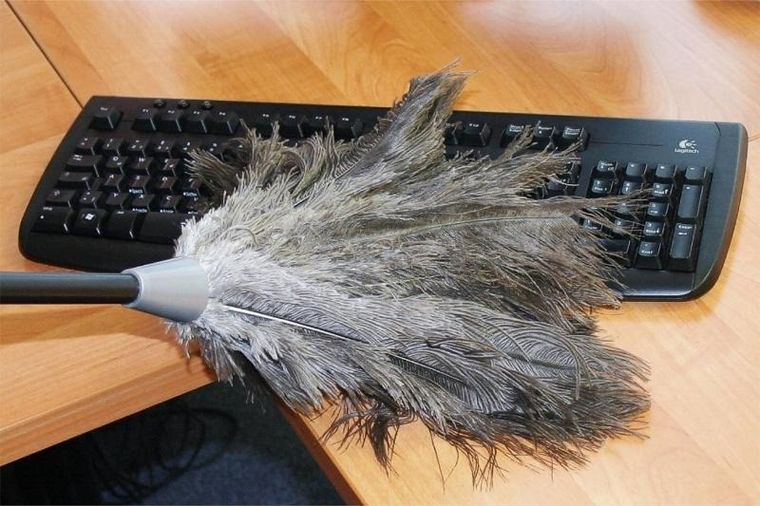 Maximex, miotełka do usuwania kurzu teleskopowa, strusie pióra