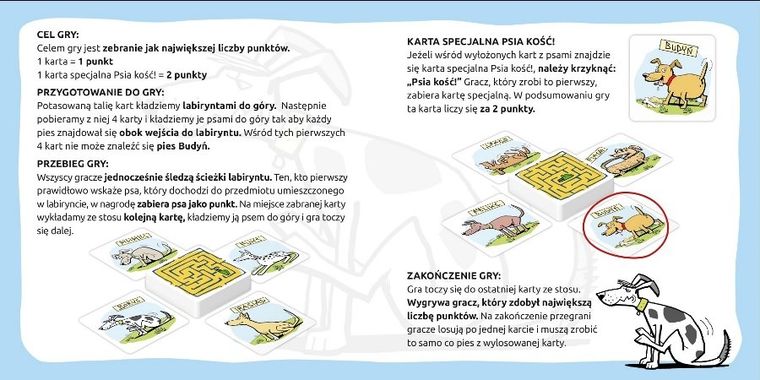 MDR, Psia kość! gra logiczna