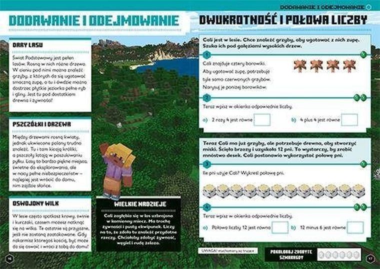 Minecraft. Matematyka. Megazadania 7+
