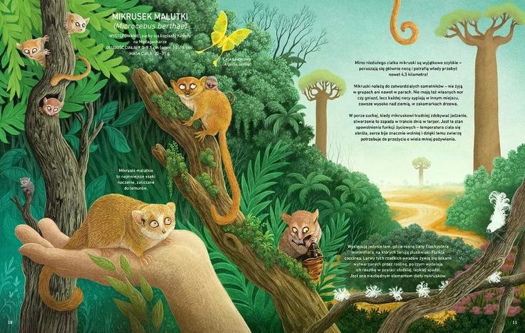 Minorki, czyli małe, mniejsze i najmniejsze stworzenia świata