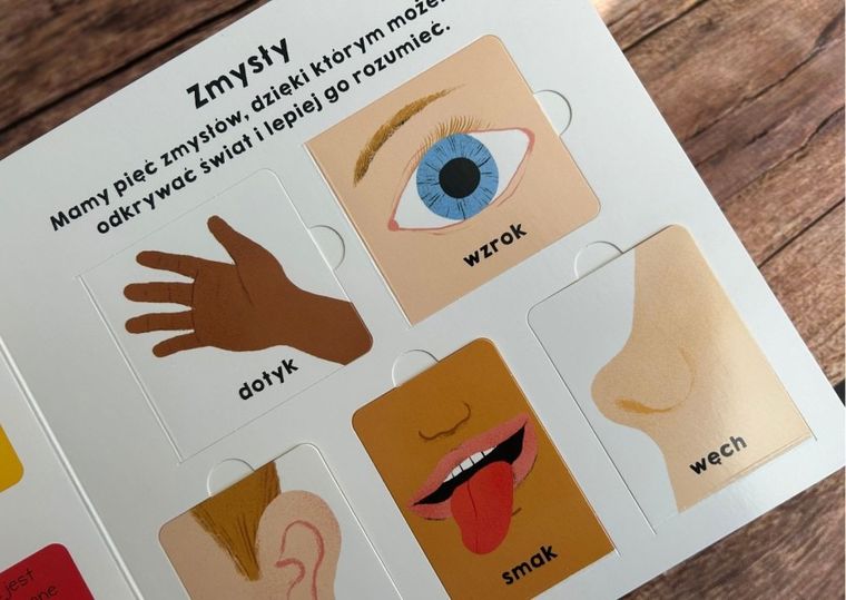 Moje ciało. Akademia mądrego dziecka. Mój świat