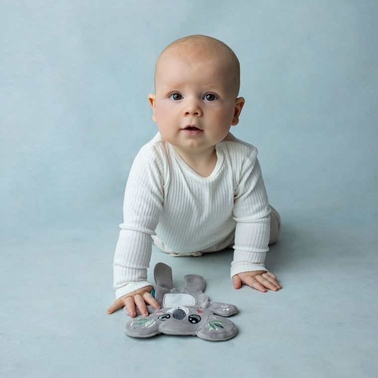 Mom's Care, koala, szeleszcząca szmatka