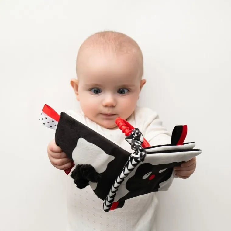 Mom's Care, Kto to? Co to? książeczka edukacyjna