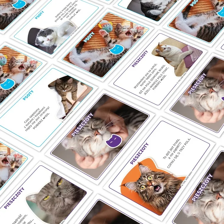 Monopoly, Koty, gra ekonomiczna