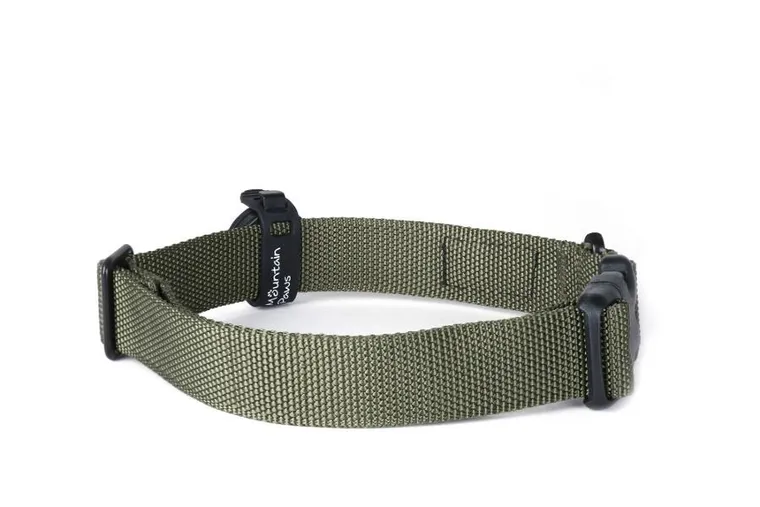 Mountain Paws, lampka bezpieczeństwa dla psa, 1 lampka