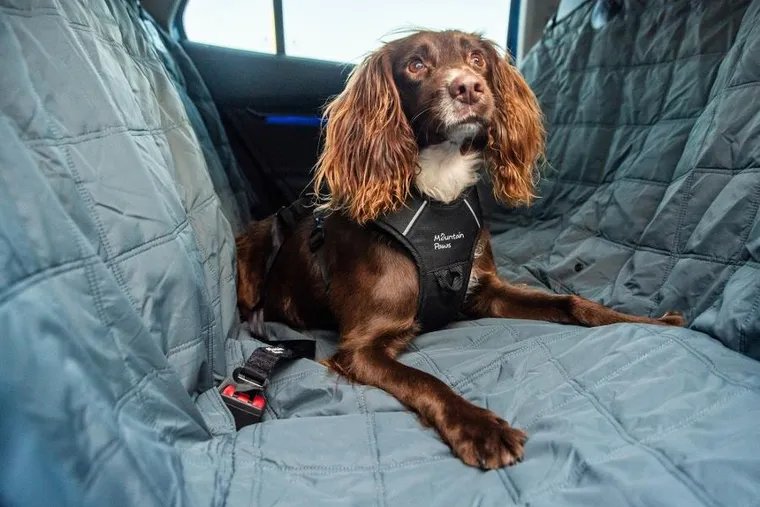 Mountain Paws, mata ochronna dla psa do samochodu