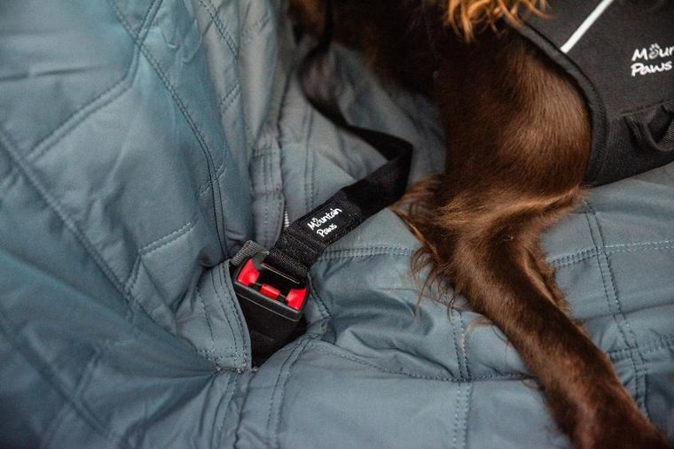 Mountain Paws, pas bezpieczeństwa do samochodu dla psa