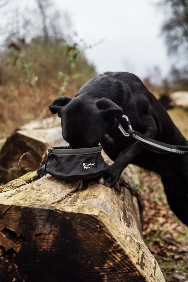 Mountain Paws, składana, turystyczna miska do karmienia psa