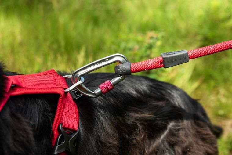 Mountain Paws, smycz linowa dla psa, czerwona, 120 cm
