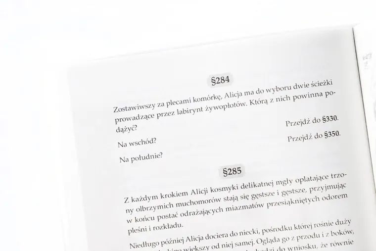 Muduko, Koszmar Alicji w Krainie Czarów, gra strategiczna