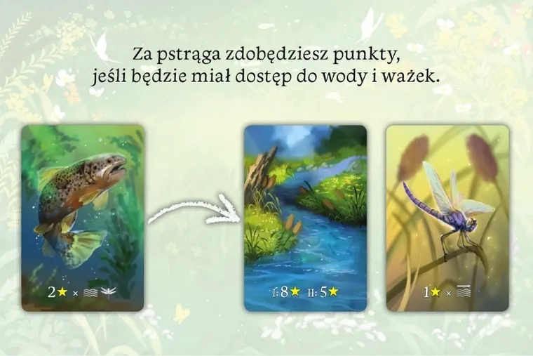 Nasza Księgarnia, Ekosystem, gra familijna