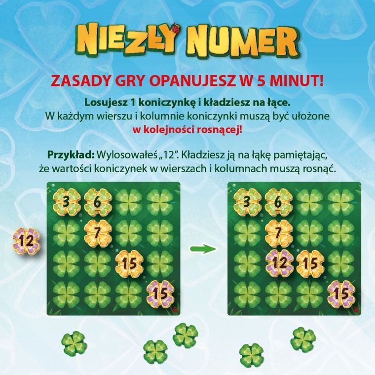 Nasza Księgarnia, Niezły numer, gra losowa