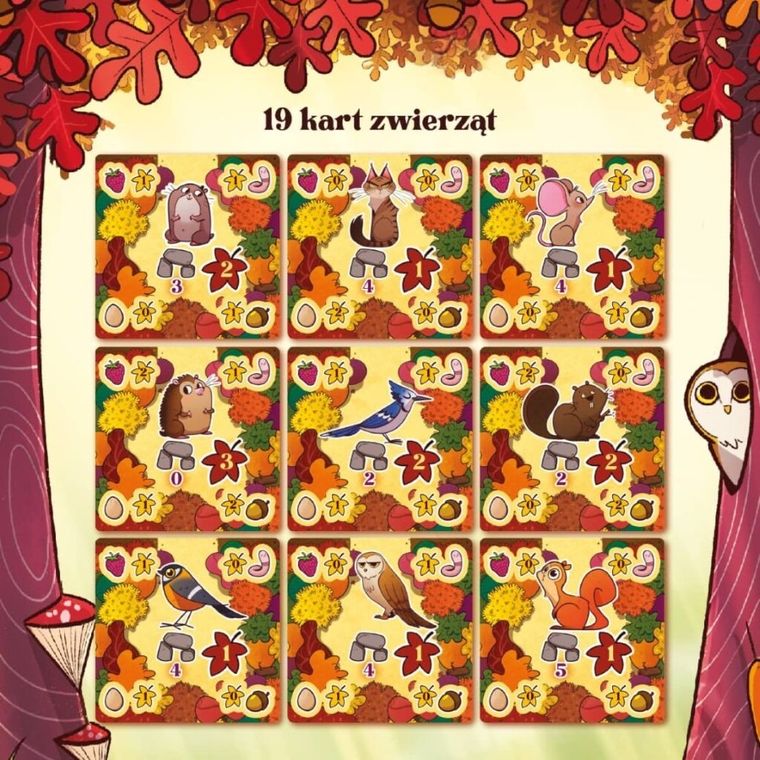 Nasza Księgarnia, Orzeszki ze ścieżki, gra familijna