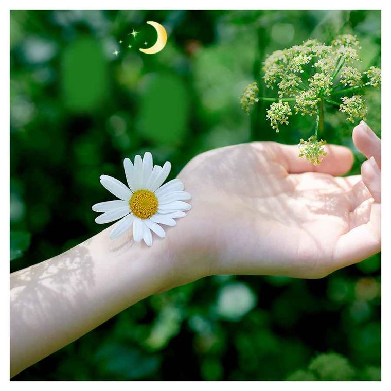 Naturella, Classic Night Camomile, podpaski ze skrzydełkami, 7 szt.