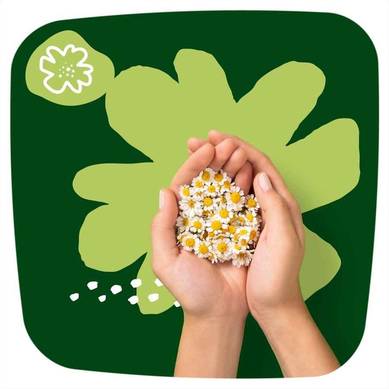 Naturella, Ultra Night, podpaski ze skrzydełkami, 14 szt.