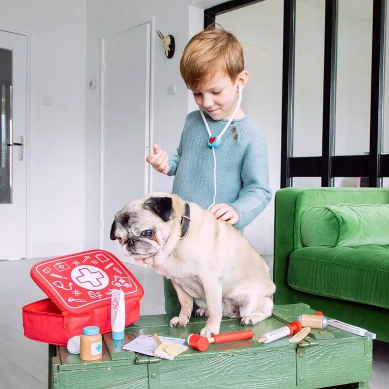 New Classic Toys, drewniany zestaw doktora