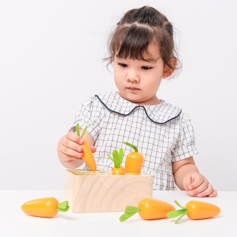 New Classic Toys, marchewki, sorter