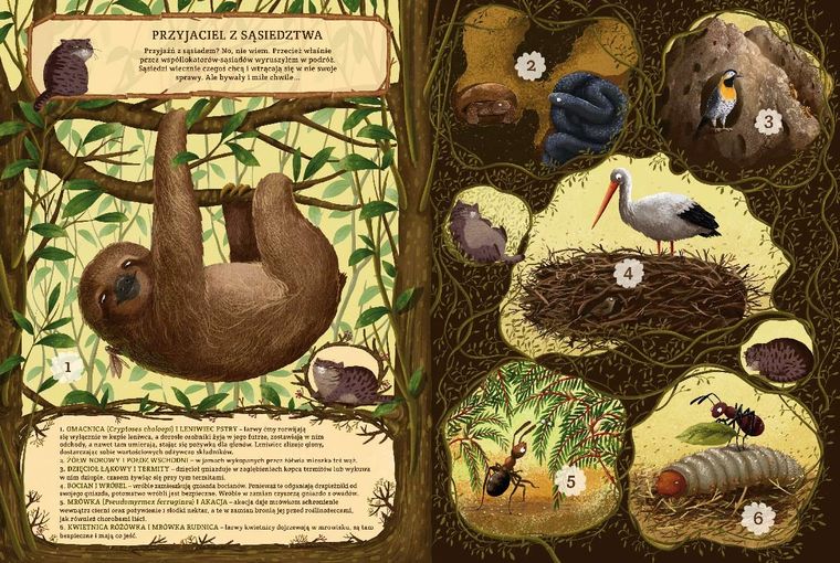 Niezwykłe przyjaźnie. W świecie roślin i zwierząt