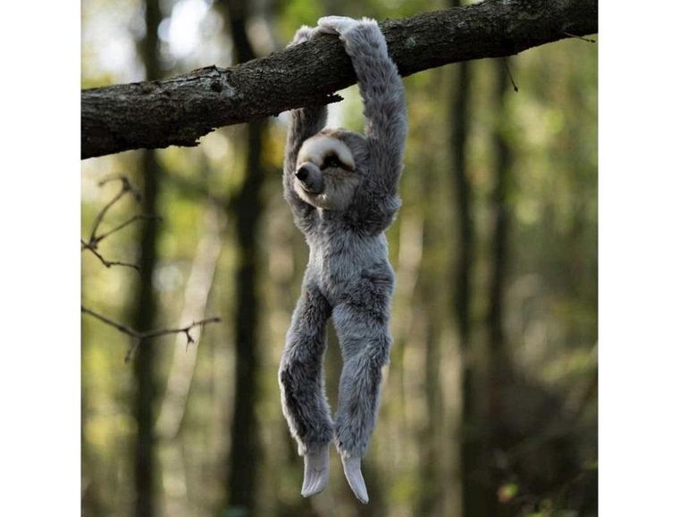 One For Fun, leniwiec, maskotka z rzepami, 20 cm